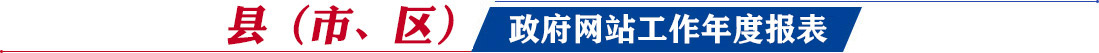 縣（市、區(qū)）網(wǎng)站工作年度報(bào)表